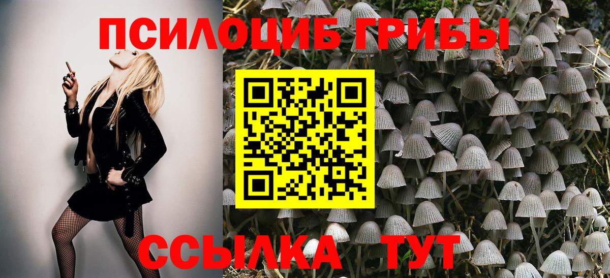 купить наркотик  Галлюциногенные грибы мухоморы  Вход с VPN  Щёлково 
