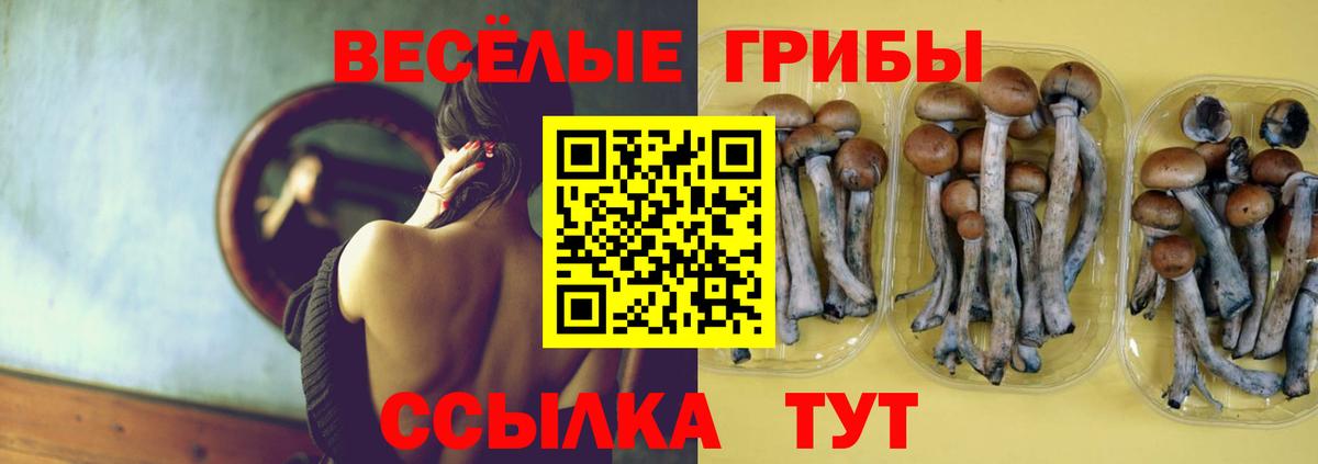 Галлюциногенные грибы ЛСД Щёлково