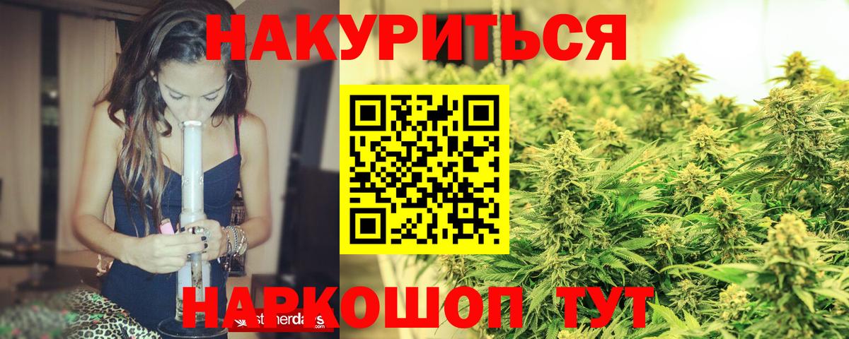 Бошки марихуана ГИДРОПОН  Бошки Шишки ГИДРОПОН  Щёлково  Вход с VPN  Марихуана AK-47 